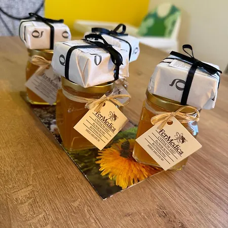 Loginn Vic Apartmán *